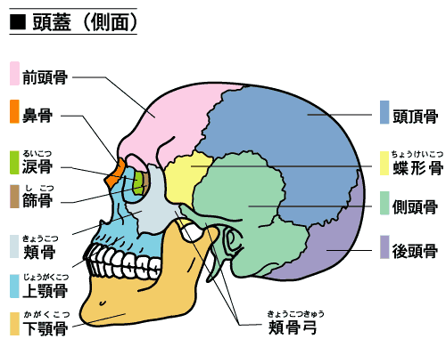 今この顔がすごい 頭蓋骨マッサージの武富ゆうすけがすごい